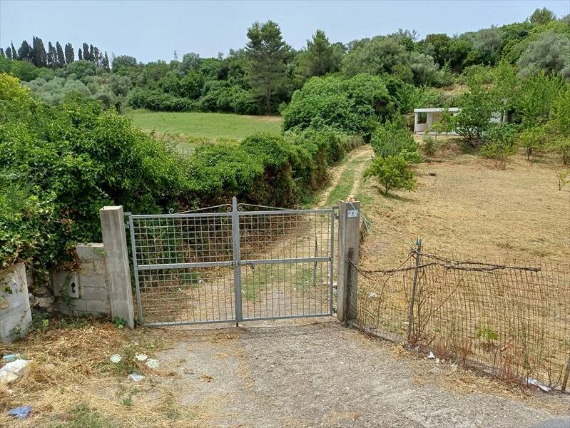 foto principale del terreno