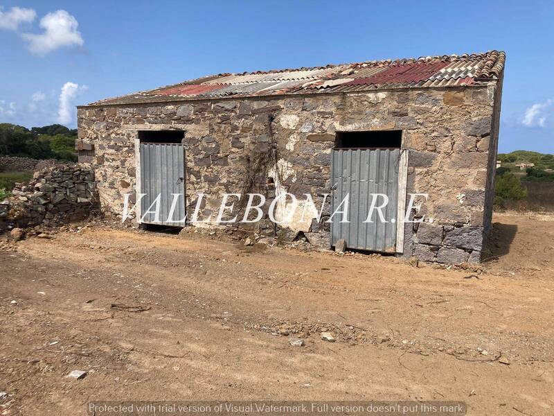 foto principale del terreno