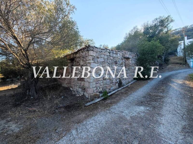 foto principale del terreno