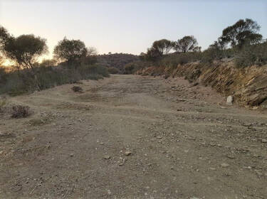 foto principale del terreno