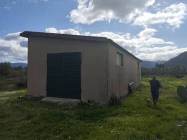 foto principale del terreno