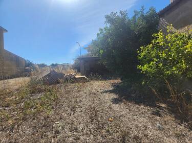 foto principale del terreno