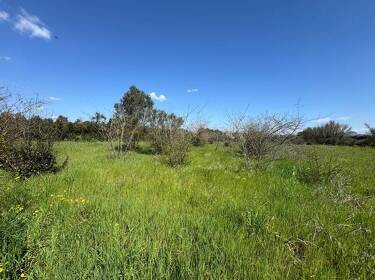 foto principale del terreno