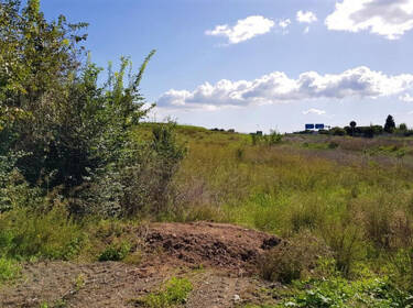foto principale del terreno