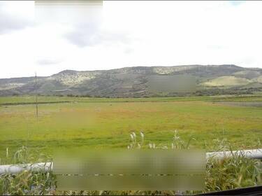 foto principale del terreno