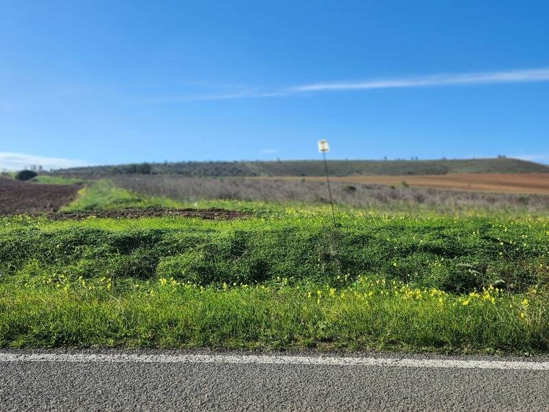 foto principale del terreno