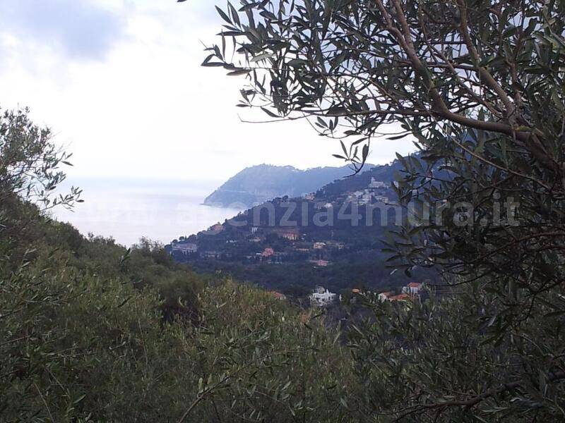 foto principale del terreno