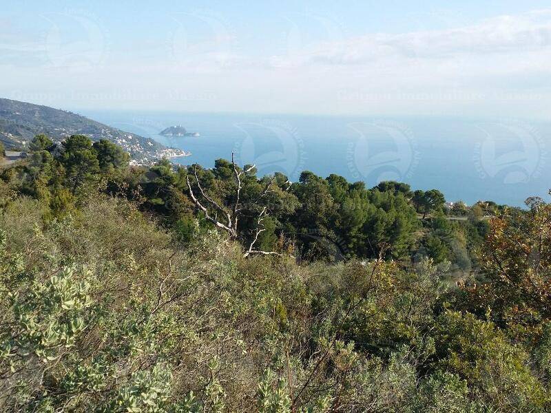 foto principale del terreno