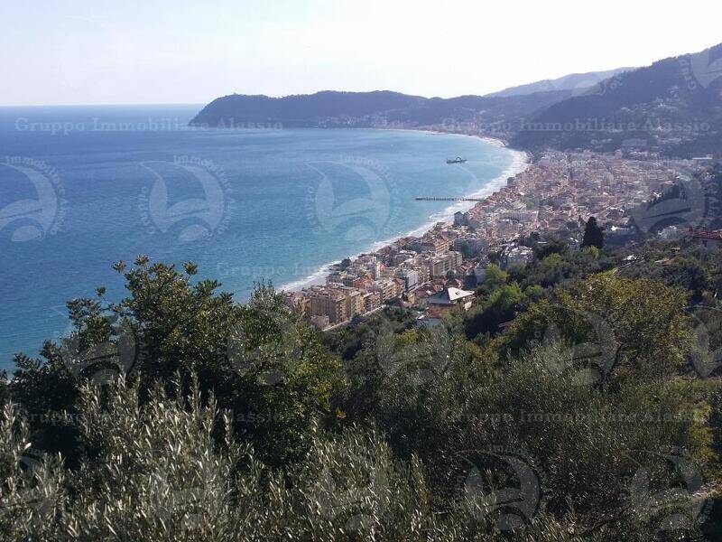 foto principale del terreno