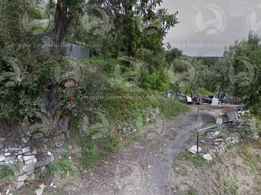 foto principale del terreno