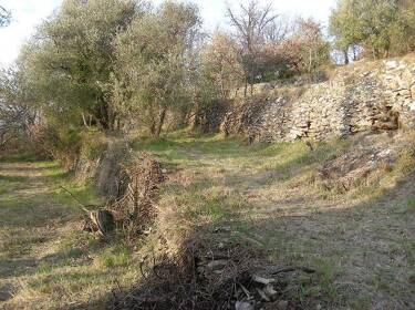 foto principale del terreno