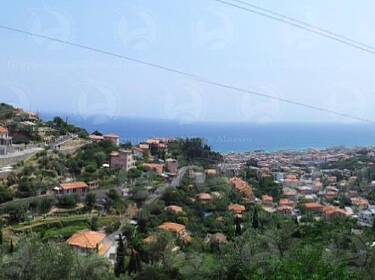 foto principale del terreno