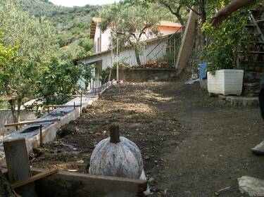 foto principale del terreno