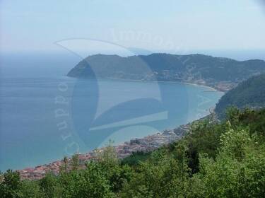 foto principale del terreno