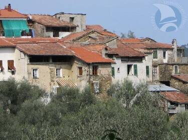 foto principale del terreno