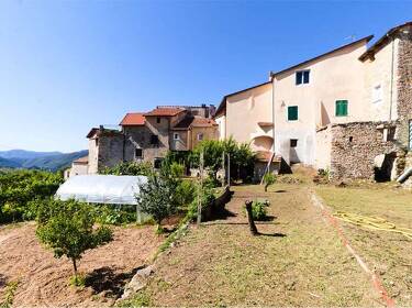 foto principale del terreno