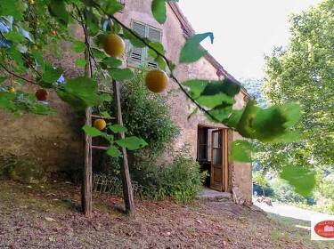 foto principale del terreno