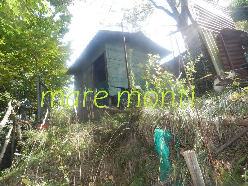 foto principale del terreno