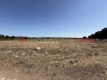 foto principale del terreno