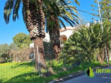 foto principale del terreno