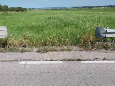 foto principale del terreno