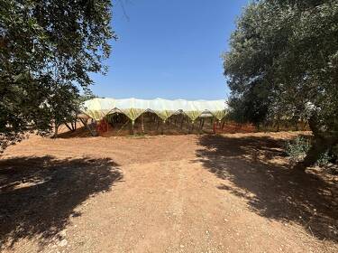 foto principale del terreno