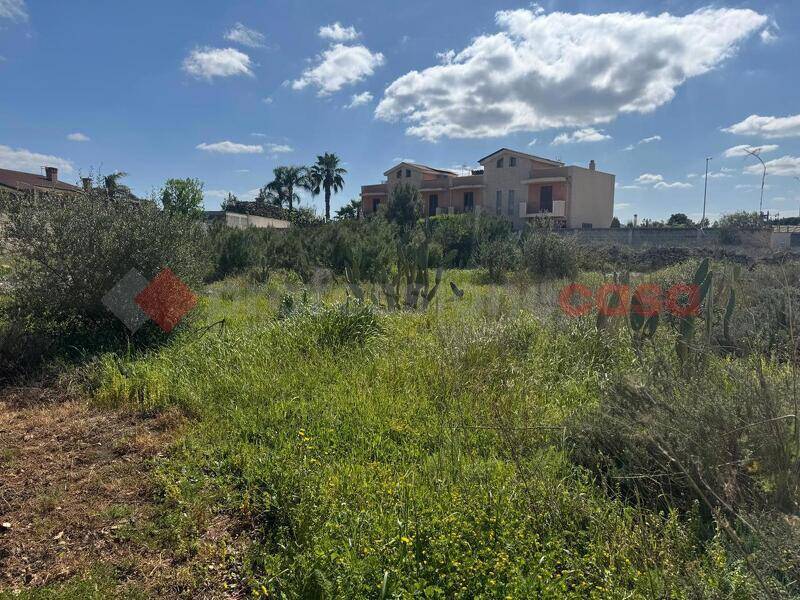 foto principale del terreno
