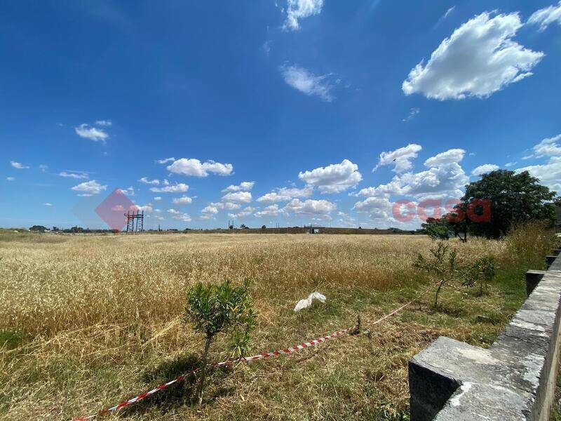 foto principale del terreno