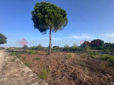 foto principale del terreno