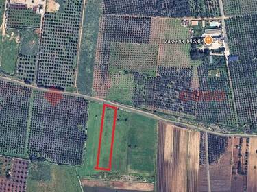 foto principale del terreno