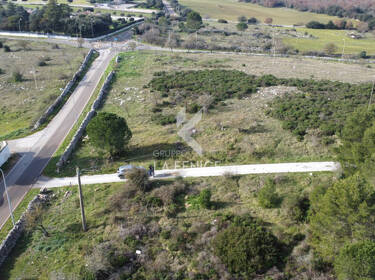 foto principale del terreno