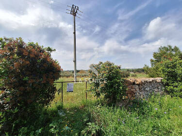 foto principale del terreno