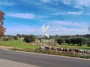 foto principale del terreno