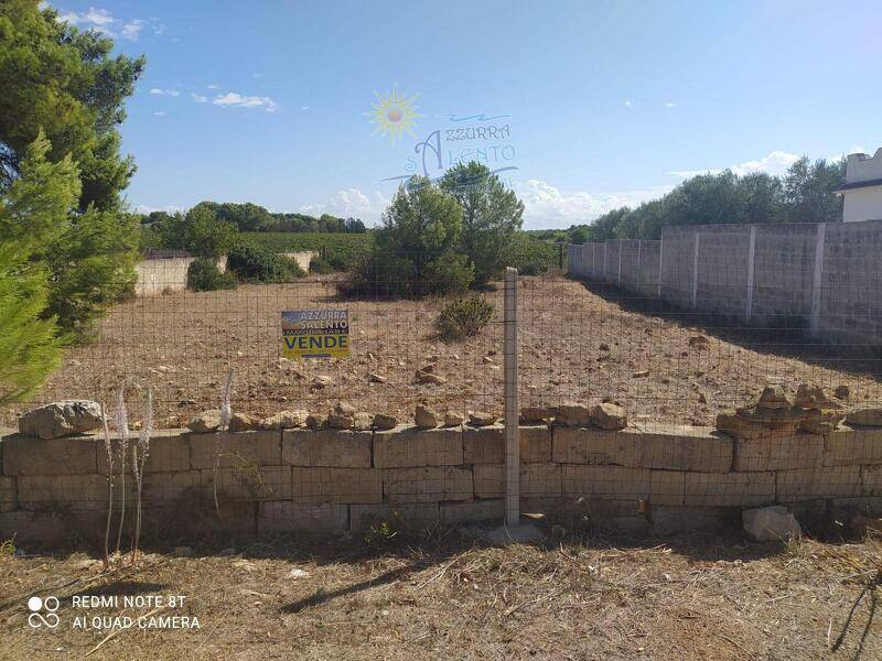 foto principale del terreno
