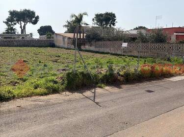 foto principale del terreno