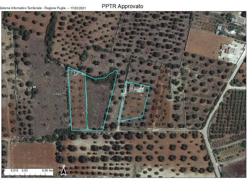 foto principale del terreno