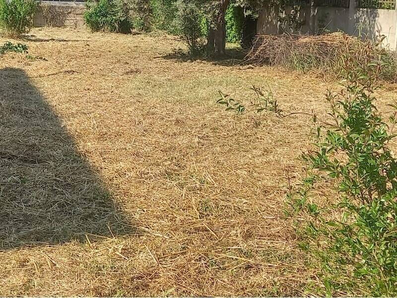 foto principale del terreno