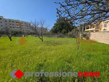 foto principale del terreno