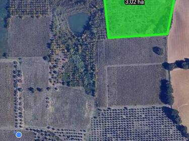 foto principale del terreno