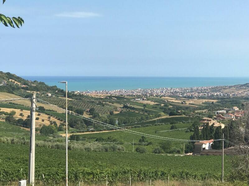 foto principale del terreno