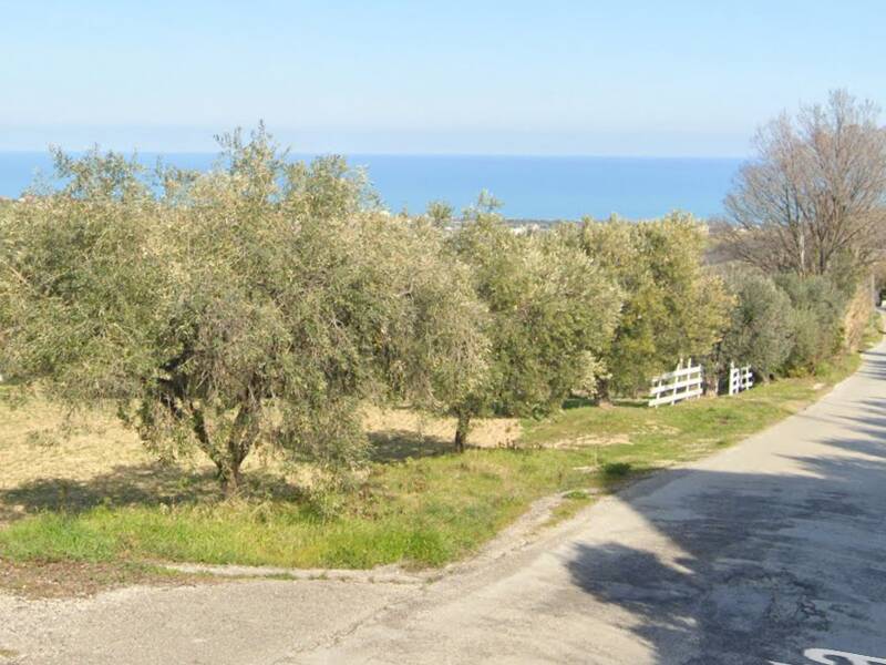 foto principale del terreno