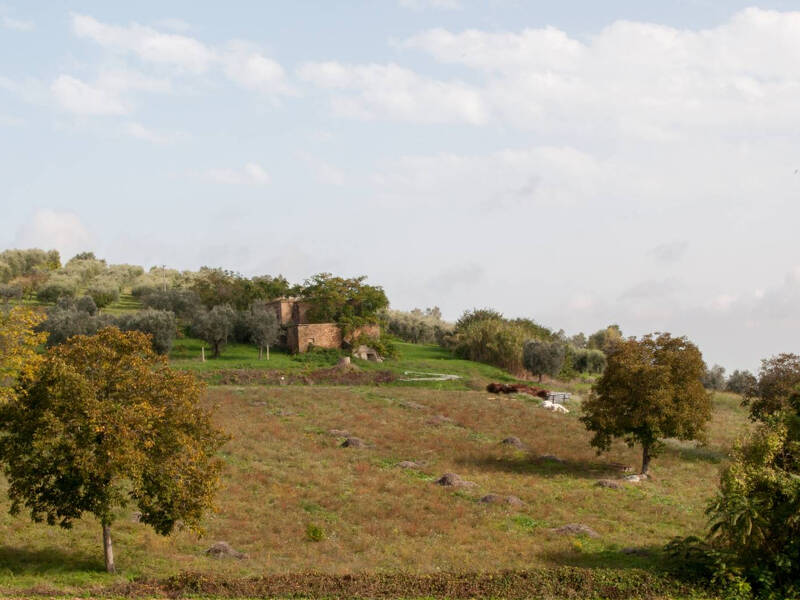 foto principale del terreno