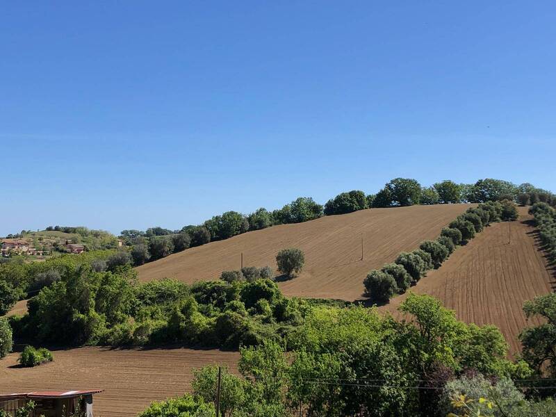 foto principale del terreno