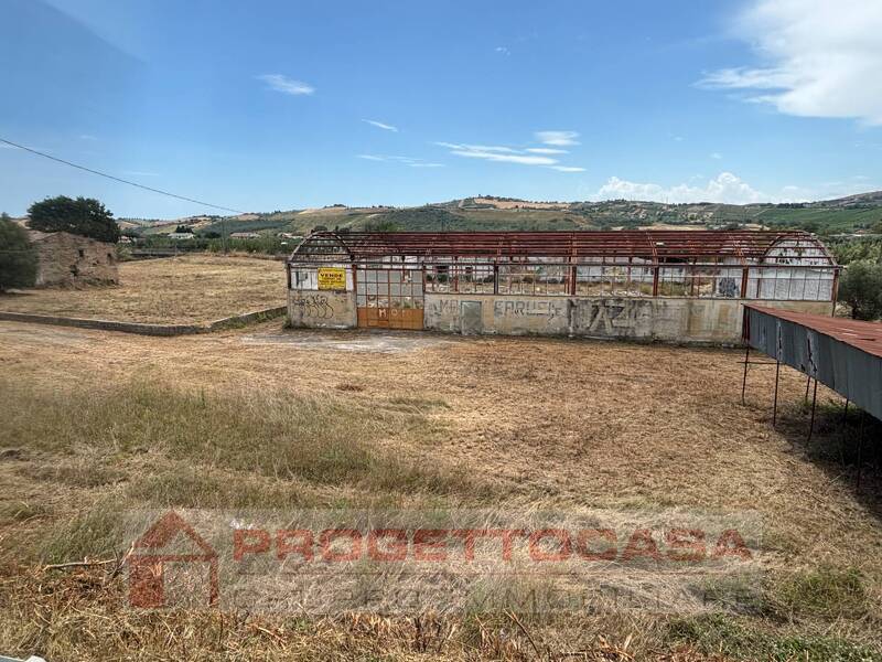 foto principale del terreno