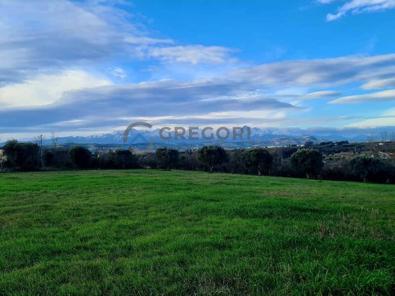 foto principale del terreno