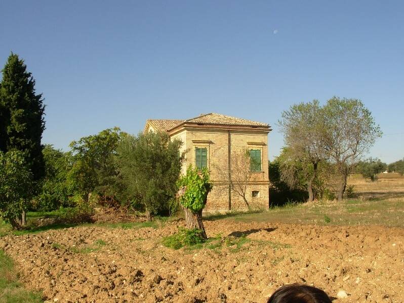 foto principale del terreno