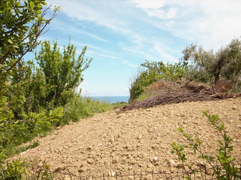 foto principale del terreno