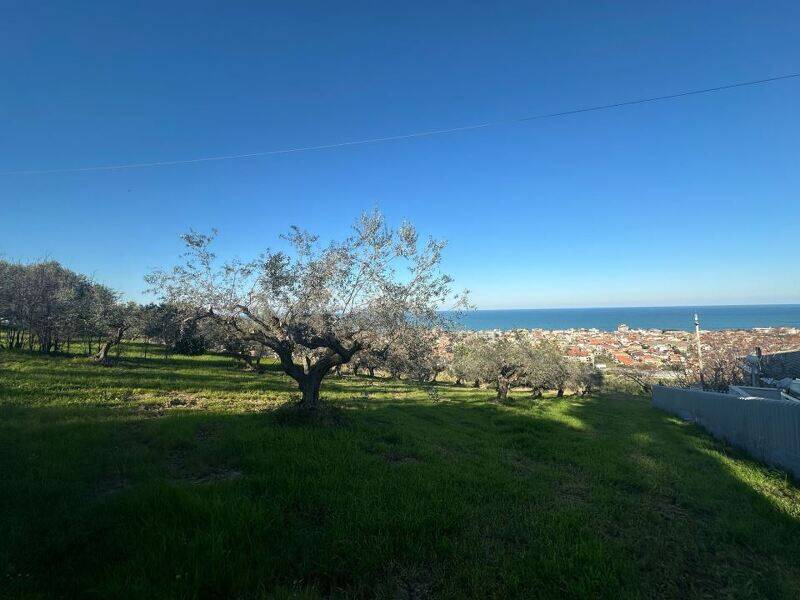 foto principale del terreno