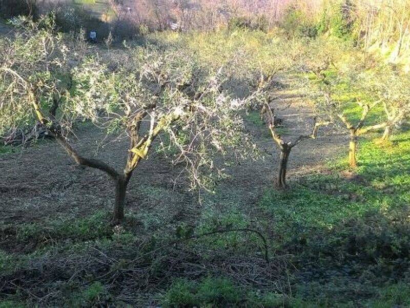 immagine annuncio 1 di 3