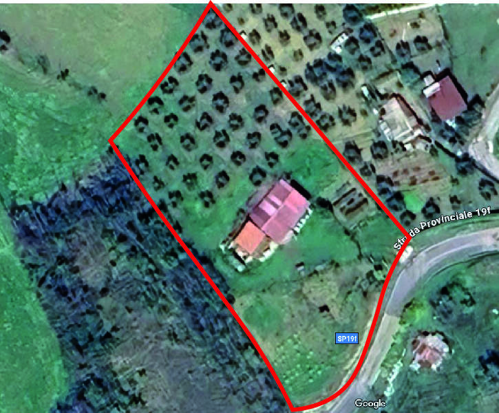 foto principale del terreno